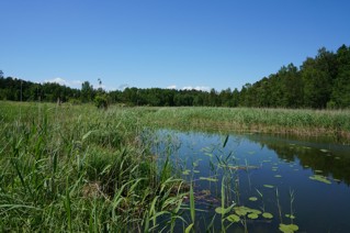 immobilien masuren